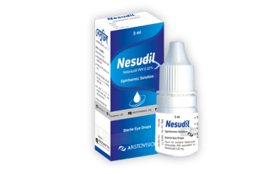 Nesudil
